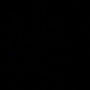 Meet your Posher, Audrey